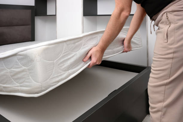 Istockphoto 2182216292 612x612