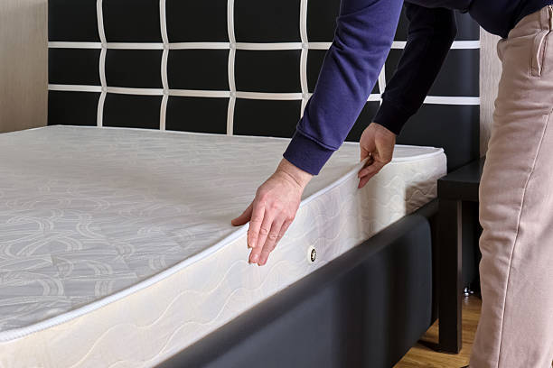 Istockphoto 2214719769 612x612